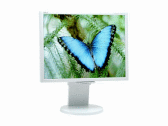 NEC MultiSync LCD2070VX 20 inch 800:1 16ms DVI LCD Monitor (Silver/White)